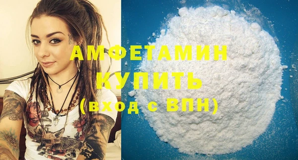 шишки Осташков