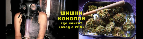 ГАЛЛЮЦИНОГЕННЫЕ ГРИБЫ Семёнов