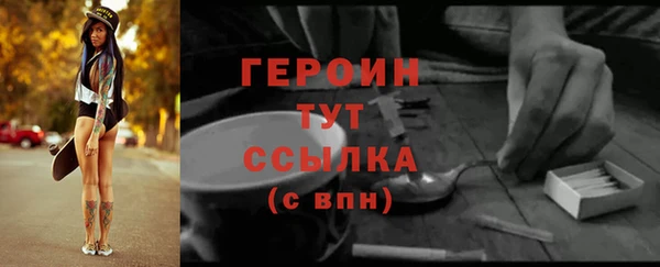 гашик Снежногорск