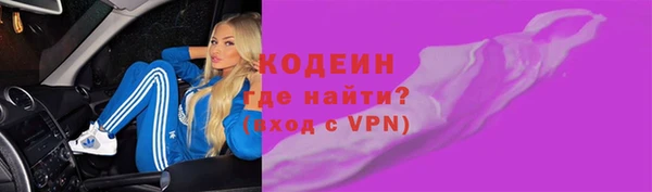 шишки Осташков