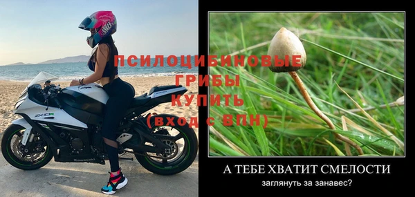 шишки Осташков