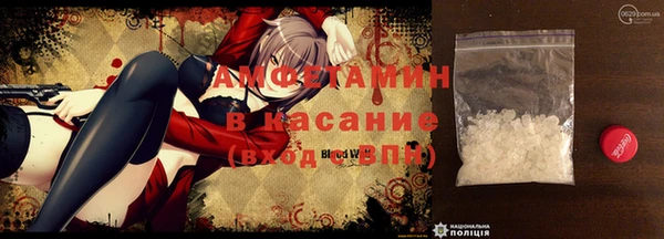 шишки Осташков