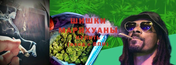 МДПВ Остров