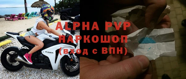 шишки Осташков