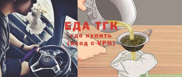 шишки Осташков