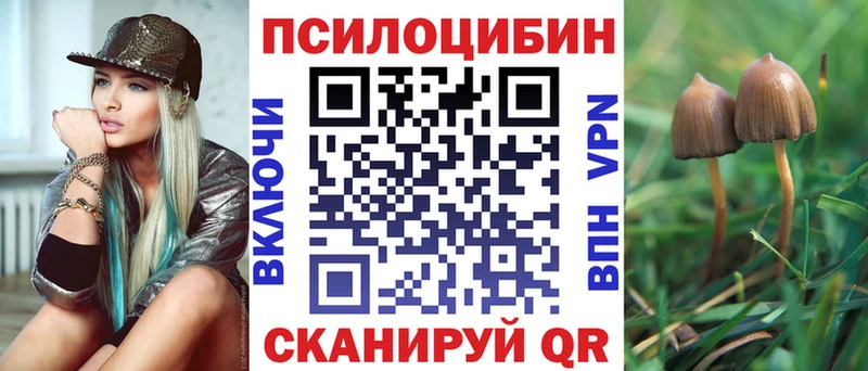 Галлюциногенные грибы Psilocybine cubensis  Алушта 
