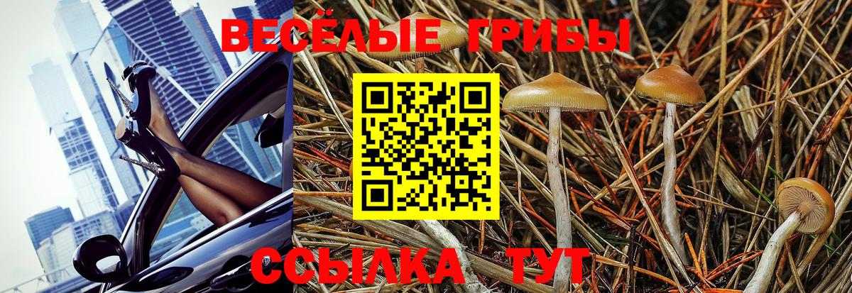 Псилоцибиновые грибы мухоморы Алушта
