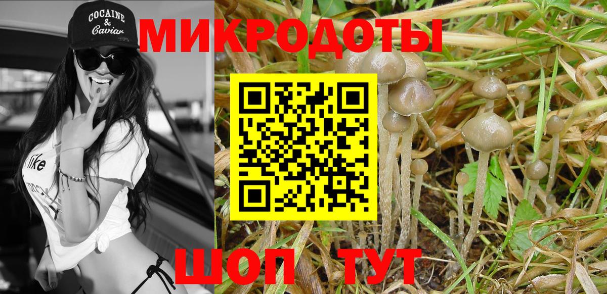 Галлюциногенные грибы Psilocybine cubensis Алушта