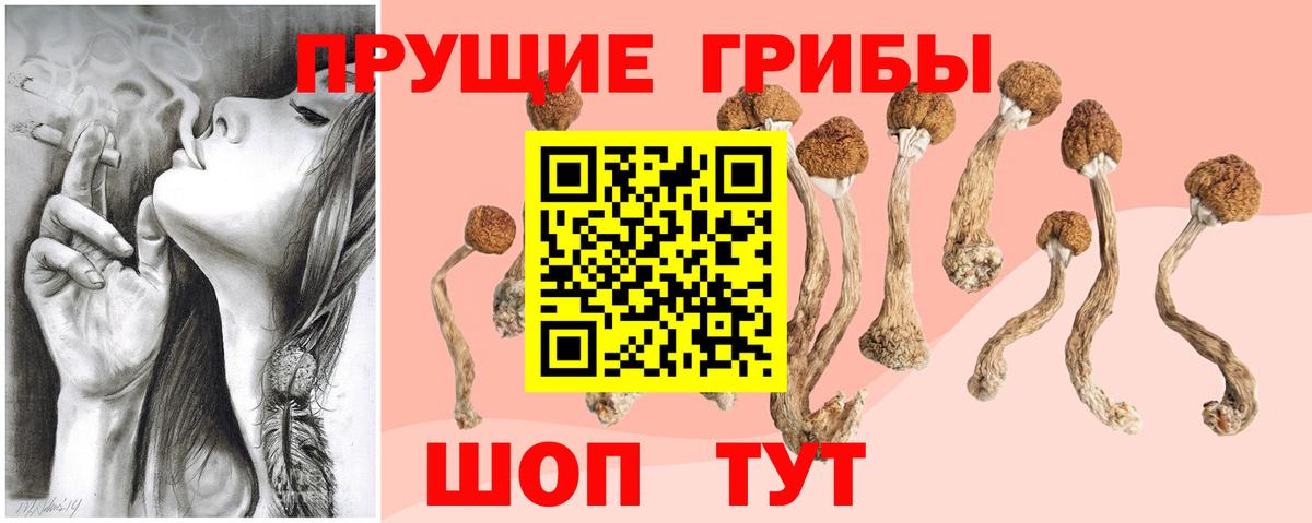 Галлюциногенные грибы мухоморы  Вход с VPN  Алушта  как найти наркотики  Псилоцибиновые грибы мицелий 